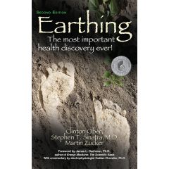 Earthing Book